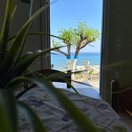 Galini Stegna Beach Archangelos  Dış mekan fotoğraf